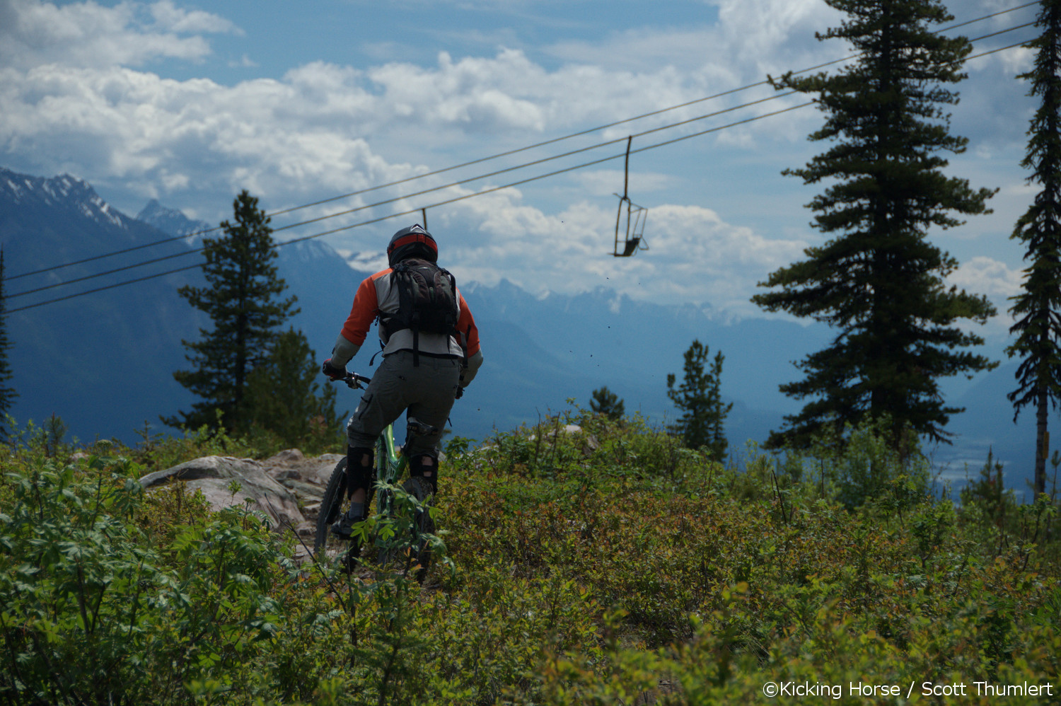 mountain biking at kicking horse