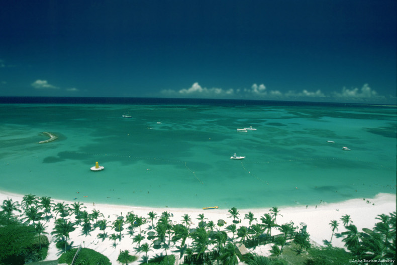 stunning and beautiful white sandy palm beach on aruba, caribbean