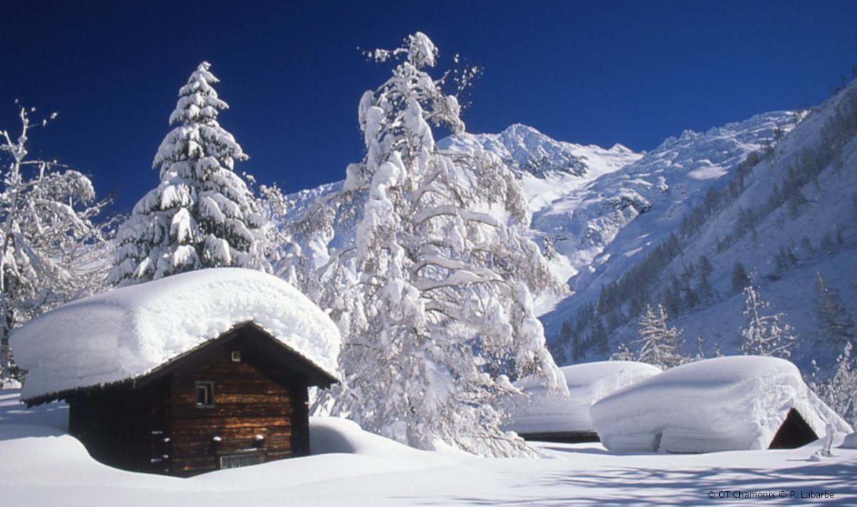 ski chalets to rent and buy
