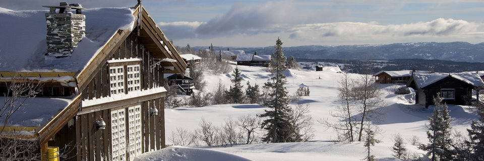 ski cabins in norway