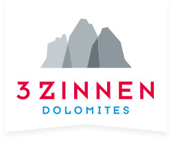 3 zinnen logo