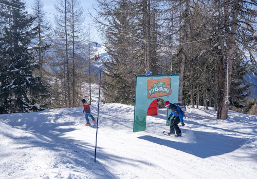 peisey vallandry ski resort, ski-in, ski-out chalets
