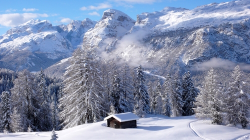 Large photo of Badia