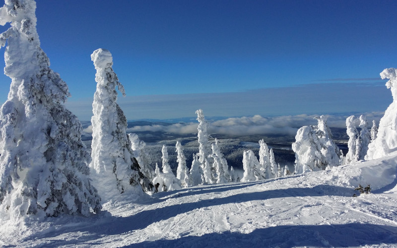 big white mountain snow ghosts