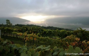 fingers lakes wine tours