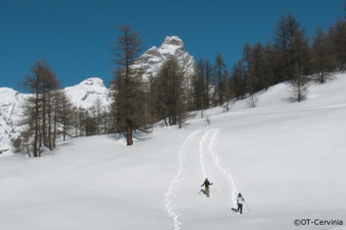 cervinia off piste guided ski tour