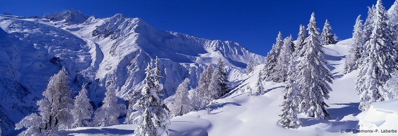 les houches airport transfers