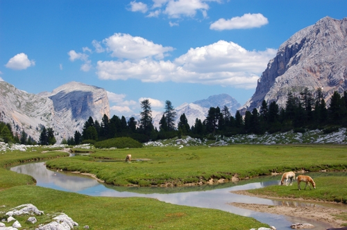 Large photo of Colfosco