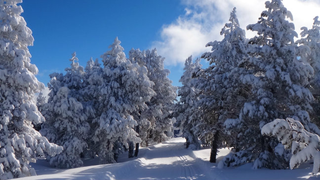 skiing in font romeu