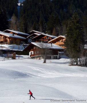 gstaad ski resort and accommodation guide, Glacier-Alpes Vaudoises ski area, ski holidays in gstaad