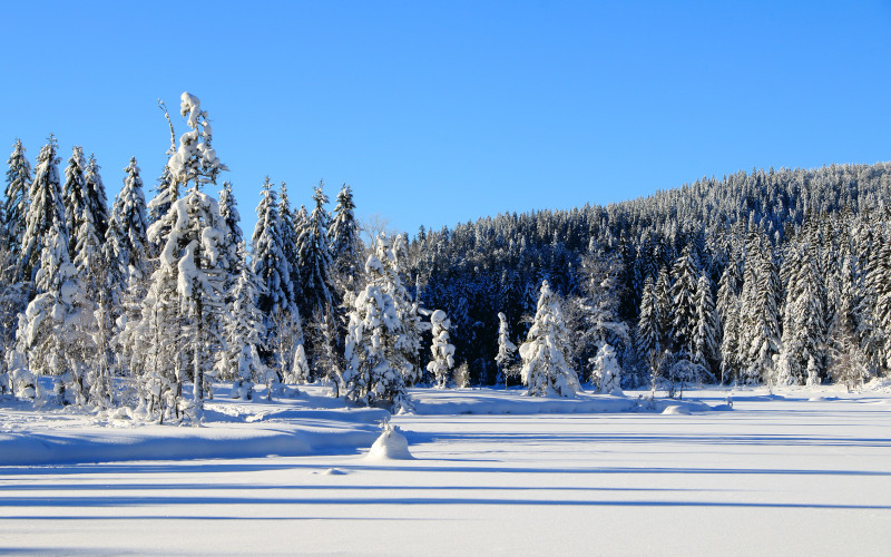 la bresse ski resort