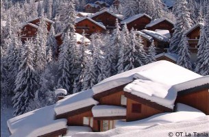 ski chalets in la-tania to rent for ski holidays, accommodation, holiday rentals in les-3-vallees