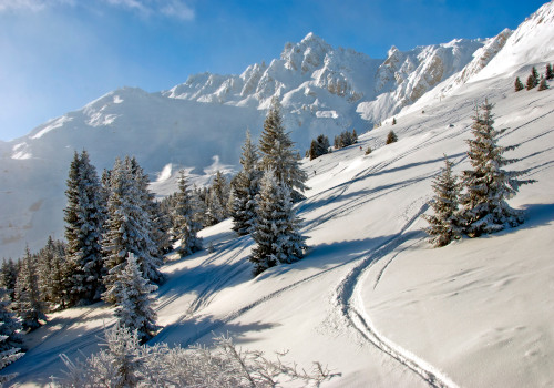 la tania ski schools