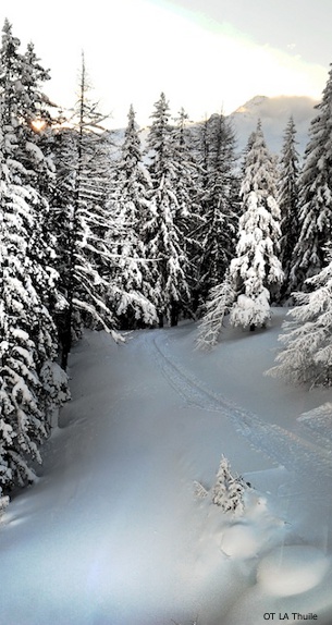 skiing in La Rosiere