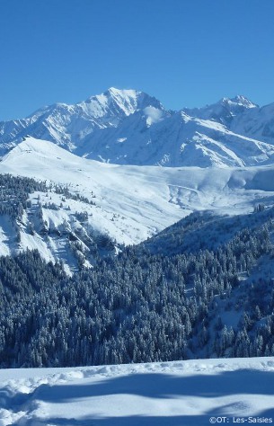 views of mont blanc, skiing espace diamant, ski chalets for rent in les-saisies