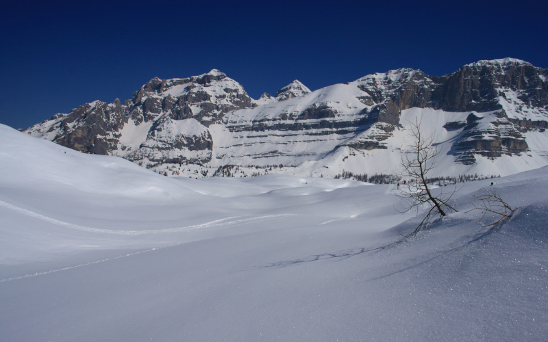 Ski touring around the Malga Fevri malga fevri ski tour brenta dolomites