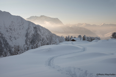 freeride skiing lessons in deep powder snow