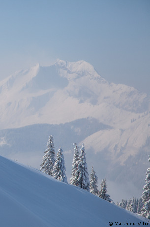 montriond ski resort guide - red run through the forest