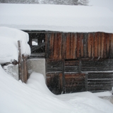 Photo of Sarreyer