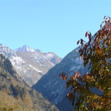 Photo of Sarreyer