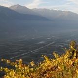 Photo of Sarreyer