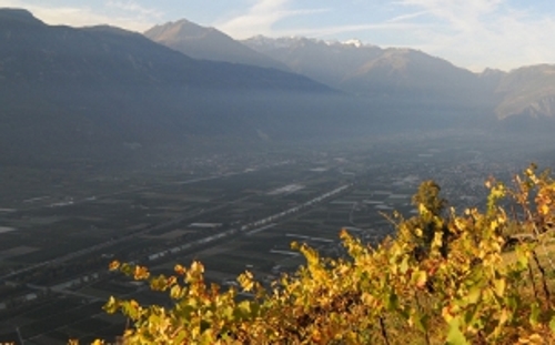 Large photo of Sarreyer