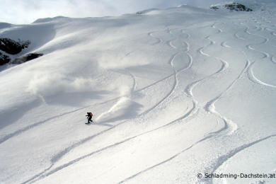 schladming freeride skiing in deep powder snow at planai