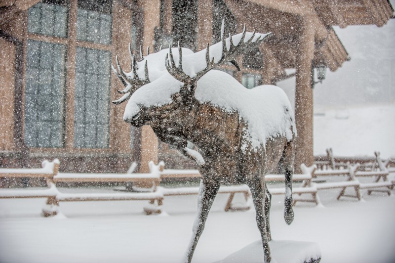 how to get to snowbasin ski area,snowy moose