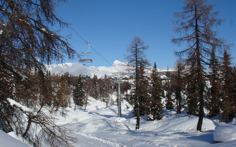 skiing through the forest in vogel ski resort