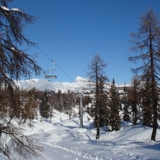 Photo of Vogel