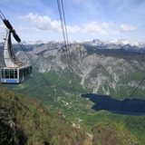 Photo of Vogel
