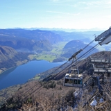 Photo of Vogel