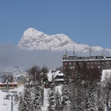 Photo of Vogel