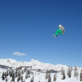Photo of Vogel