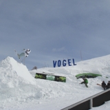Photo of Vogel