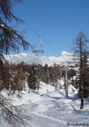 julian alps, ski holidays in vogel, ski chalets & apartments to rent in vogel