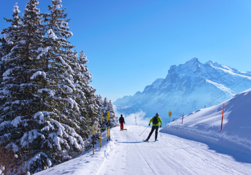 ski schools in wengen