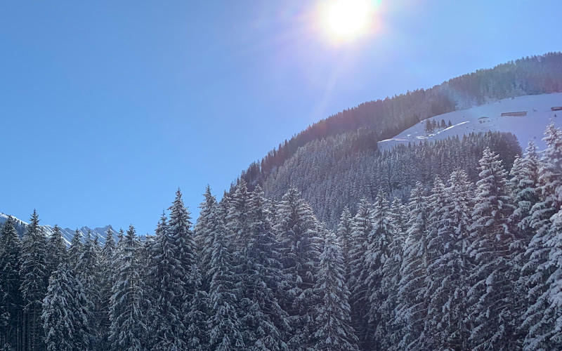 skiing in zell am ziller