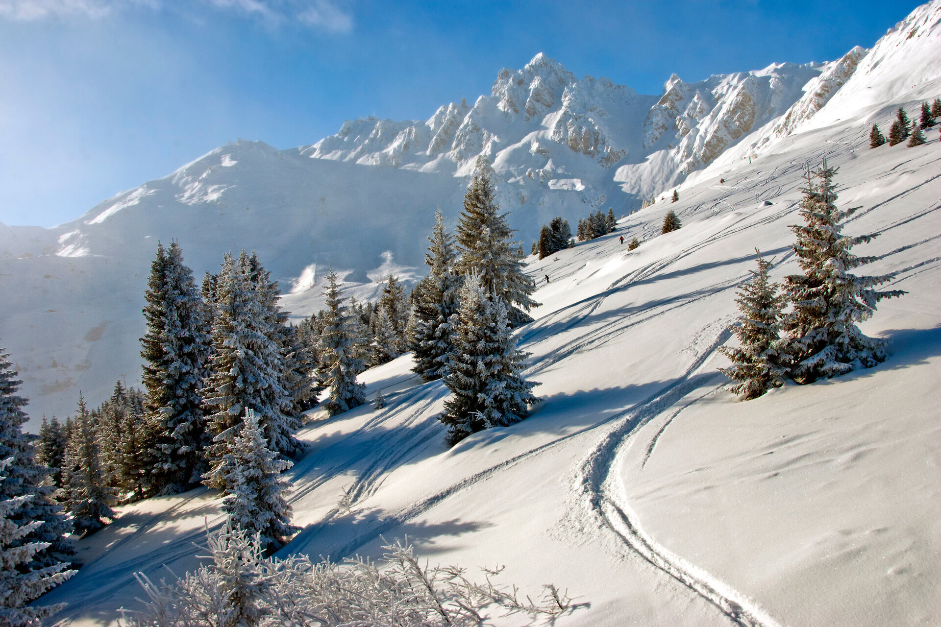 skiing in la tania in the 3 valleys
