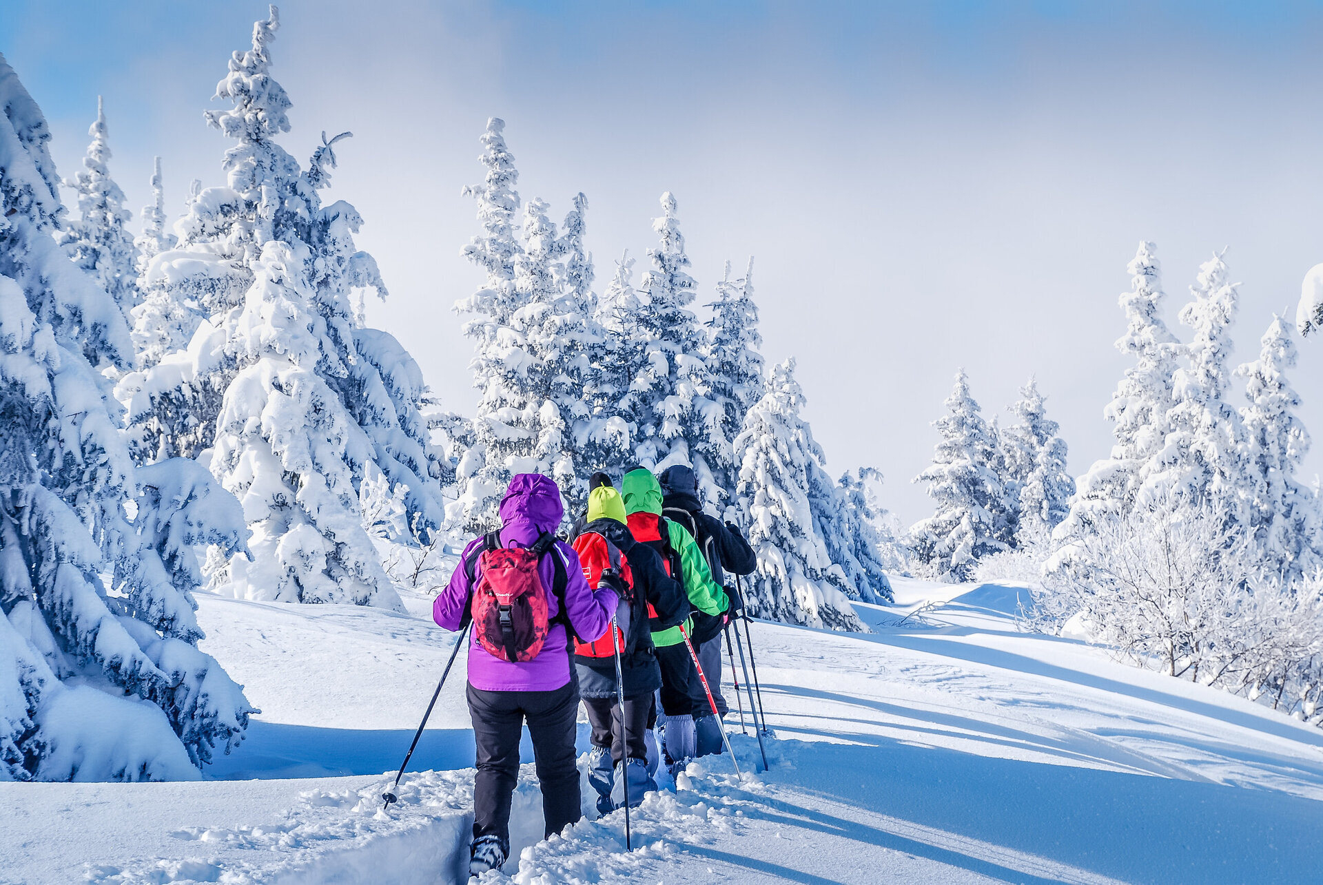 snowshoeing in deep powder snow