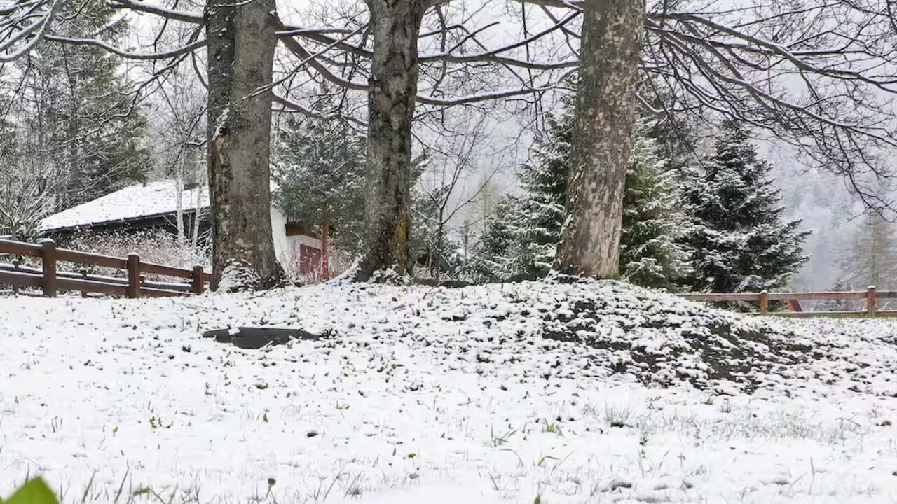 Photo of Chalet del Monte Bianco