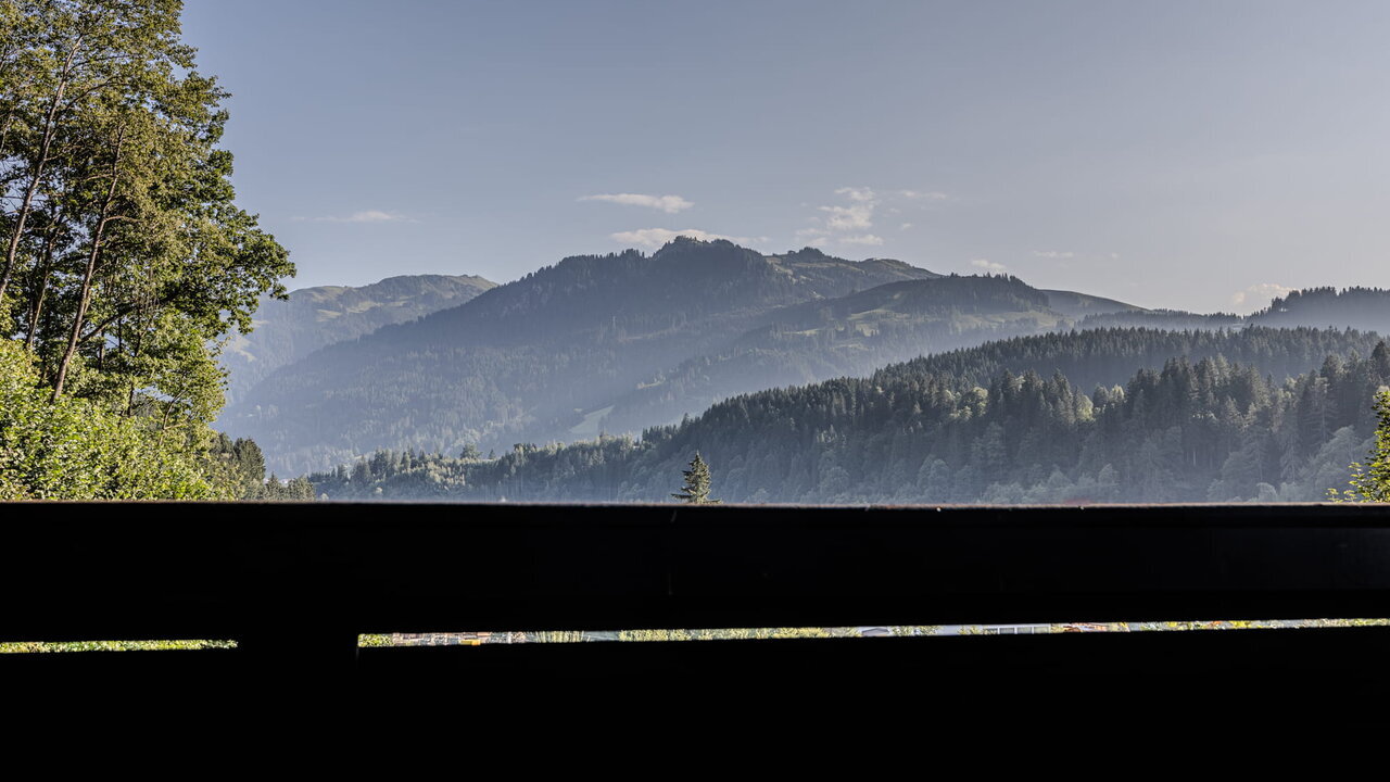 Photo of #WM014