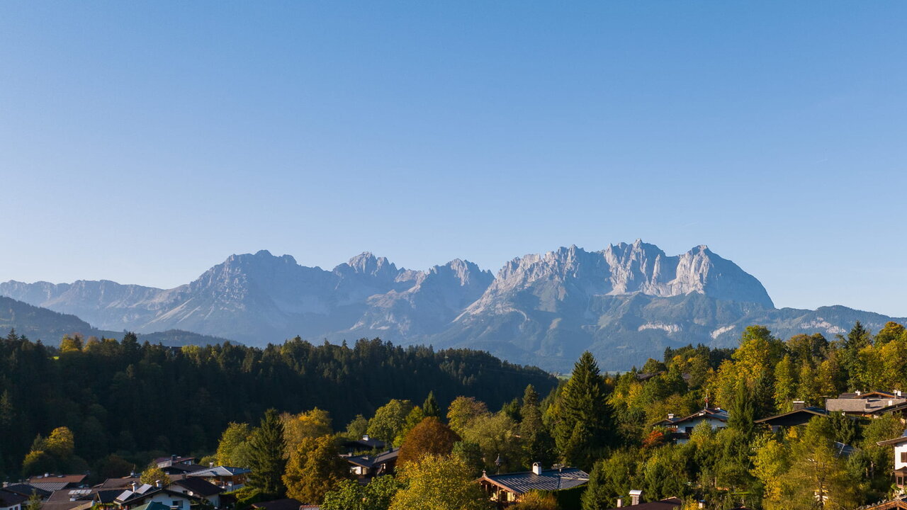 Photo of #WM014