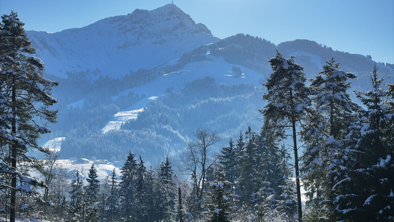 Photo of #WJ825