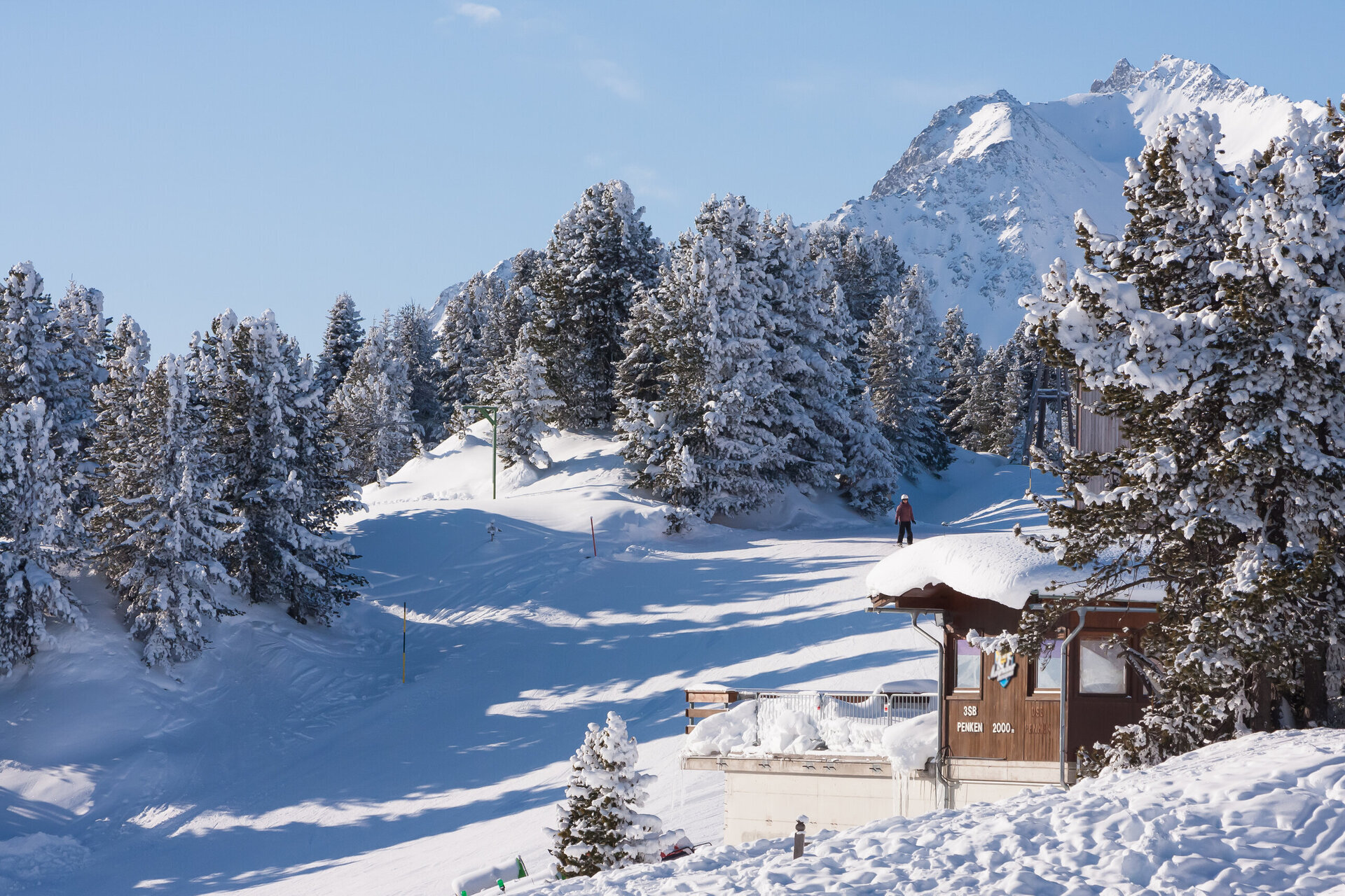 ski-in ski-out chalet in mayrhofen